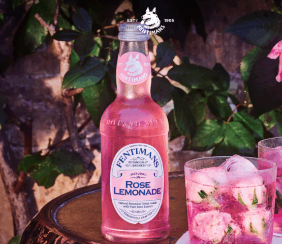 Fentimans Rose Lemonade - Image 4